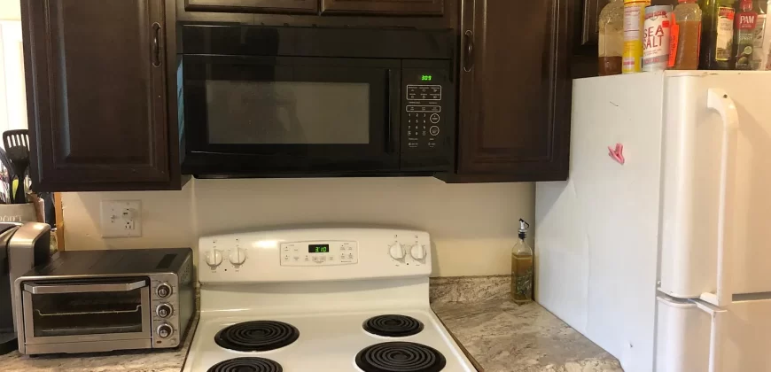 Room for rent in 4 bedroom apartment