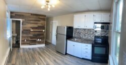 One bedroom 1st Floor on Congress st.