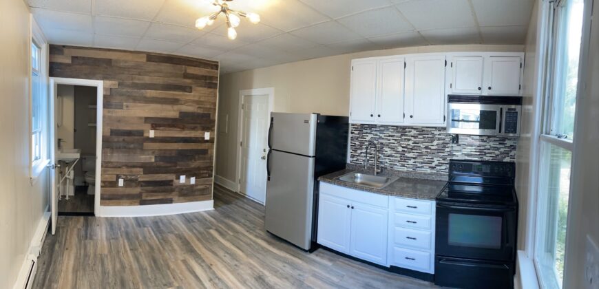 One bedroom 1st Floor on Congress st.